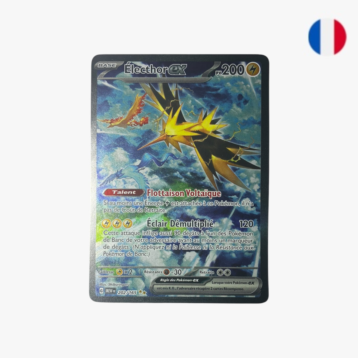 Électhor ex | MEW 202/165