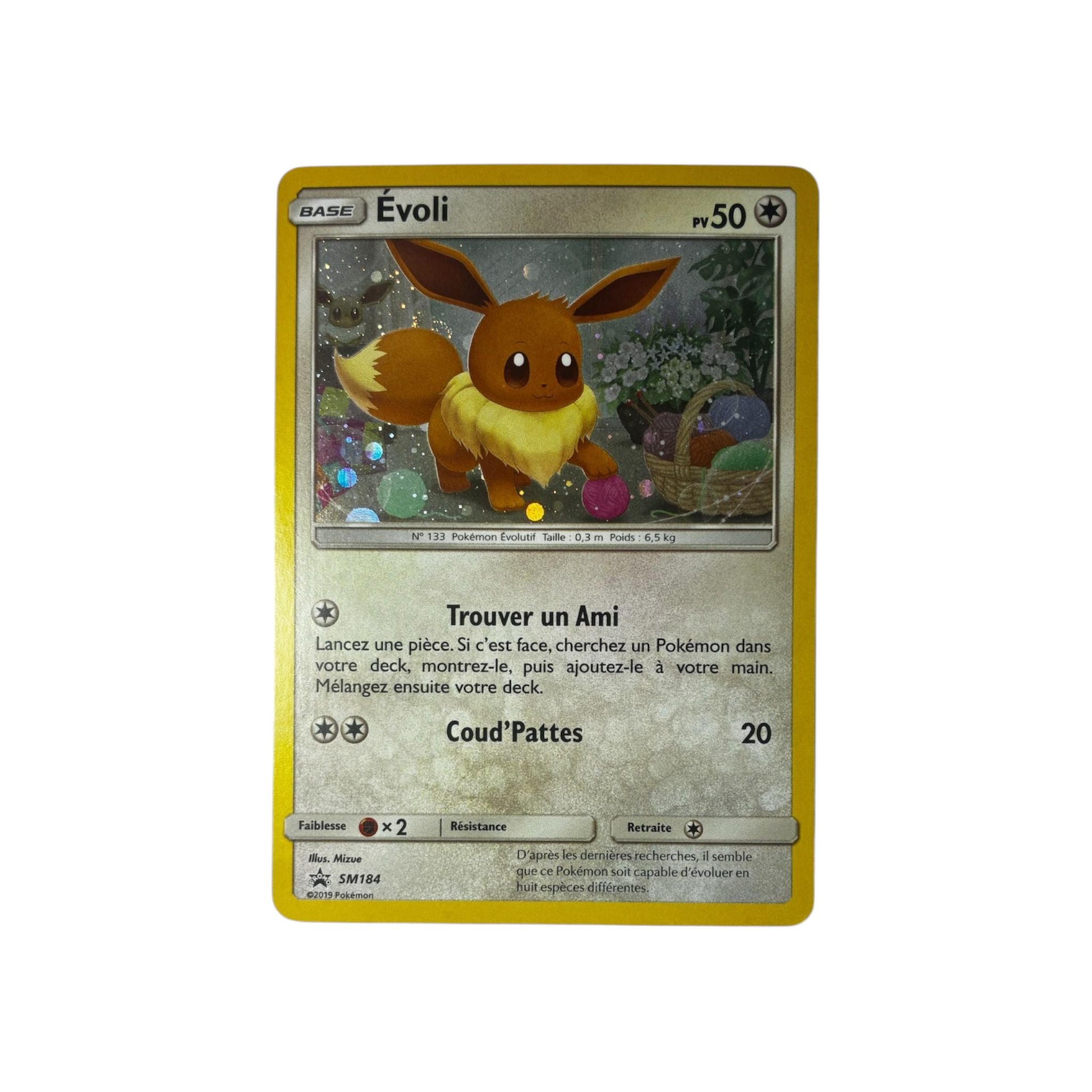 SM 184 | Évoli (FR) TamoriCards