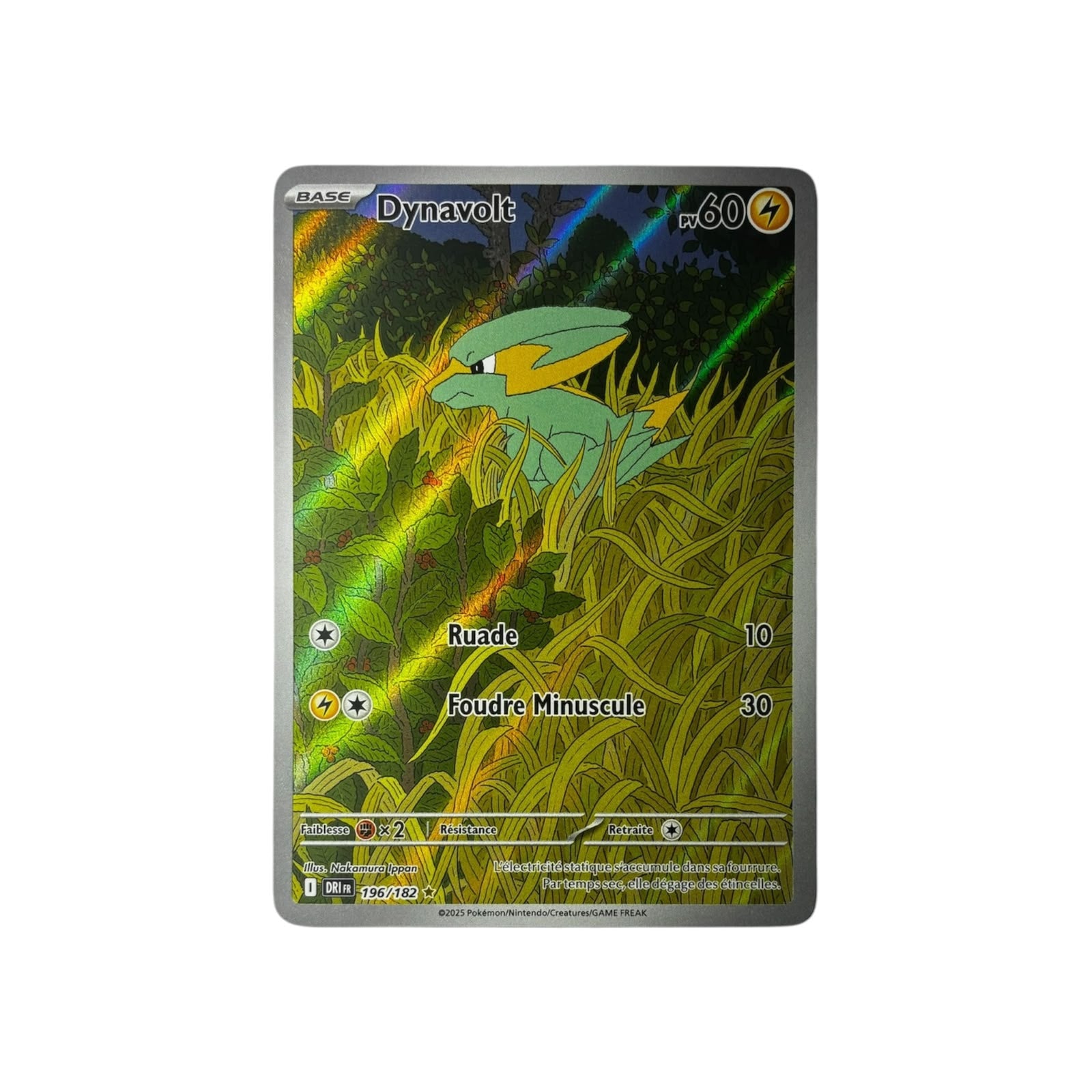 DRI 196 | Dynavolt (FR)