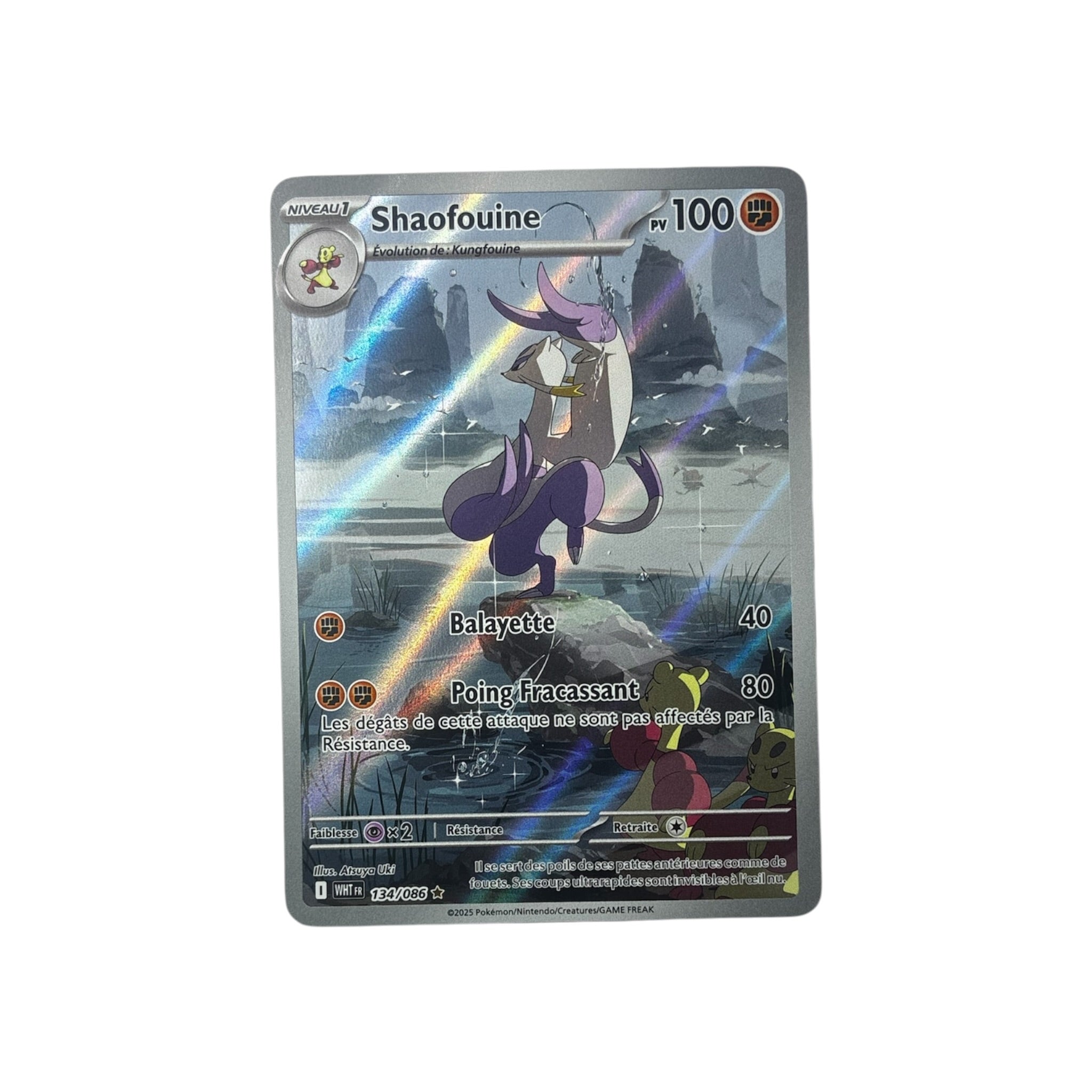 WHT 134 | Shaofouine (FR) TamoriCards