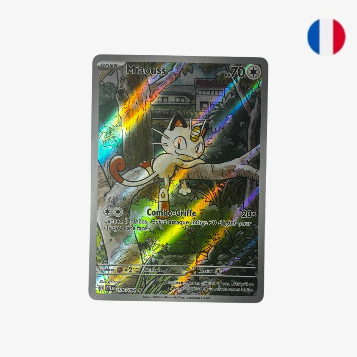 Miaous | PFL 106/094