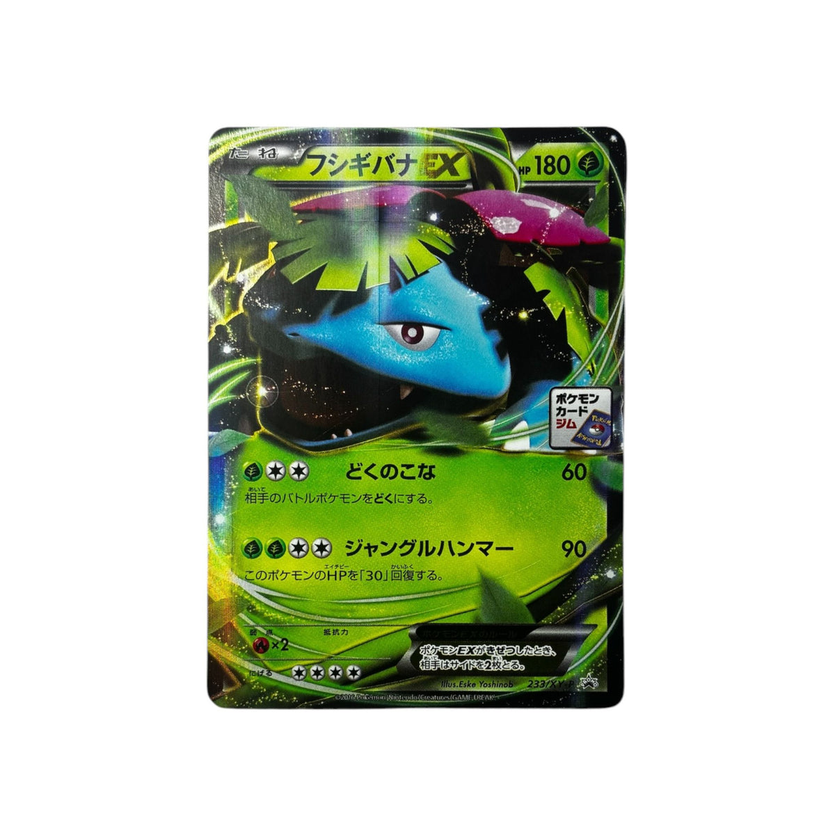 XY-P 233 | Venusaur ex (JAP) TamoriCards