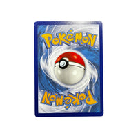 VIV 50 | Raikou (FR) TamoriCards