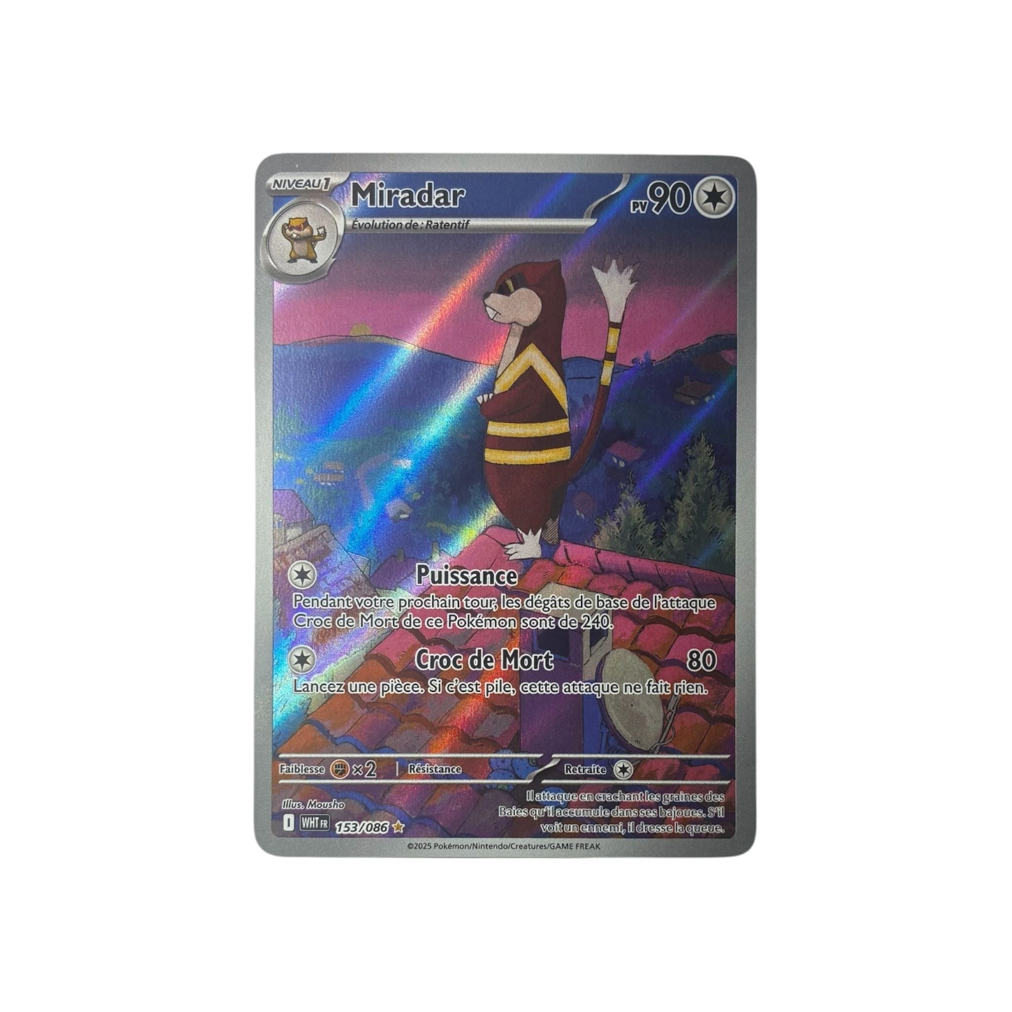 WHT 153 | Miradar (FR) TamoriCards
