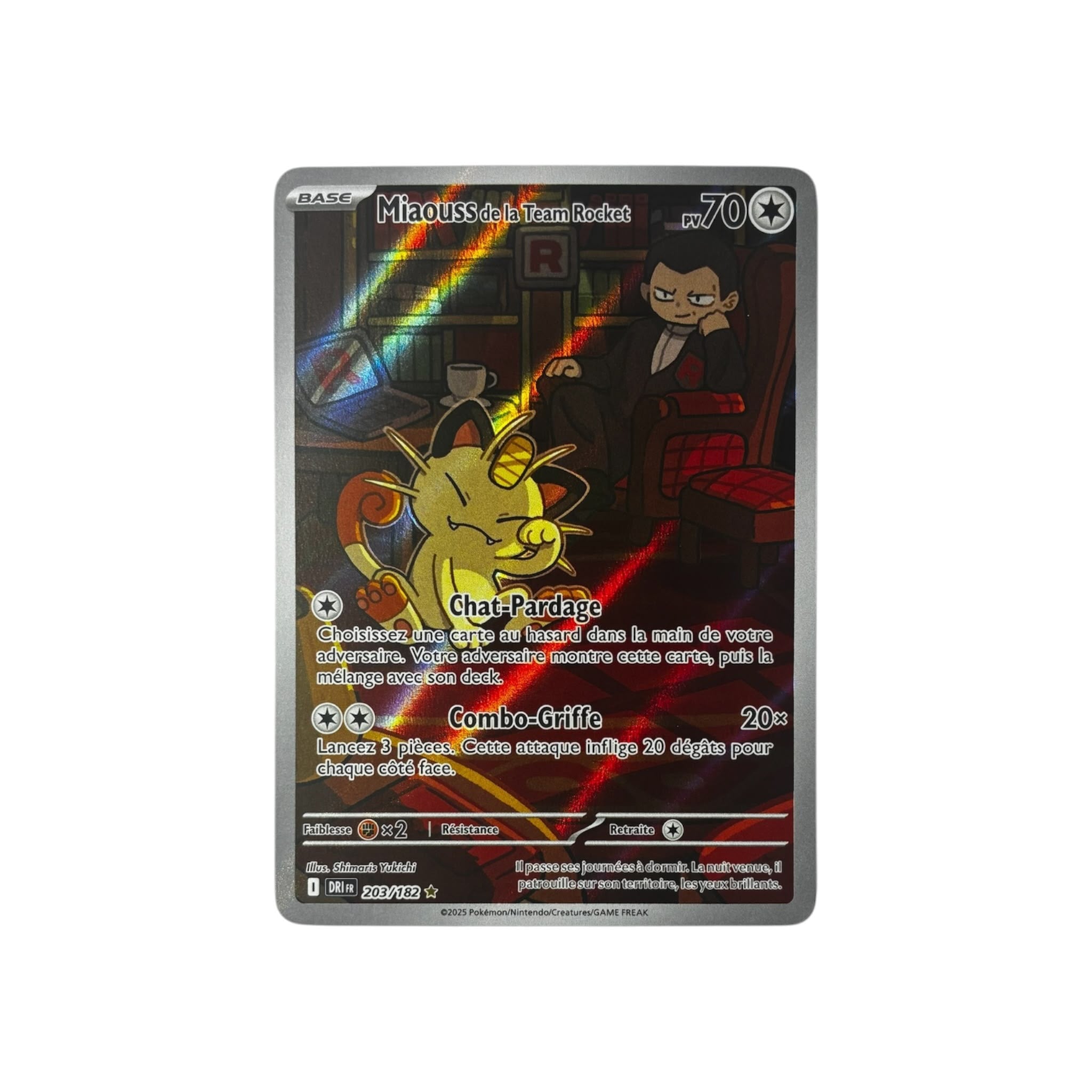DRI 203 | Miaous de la Team Rocket (FR)