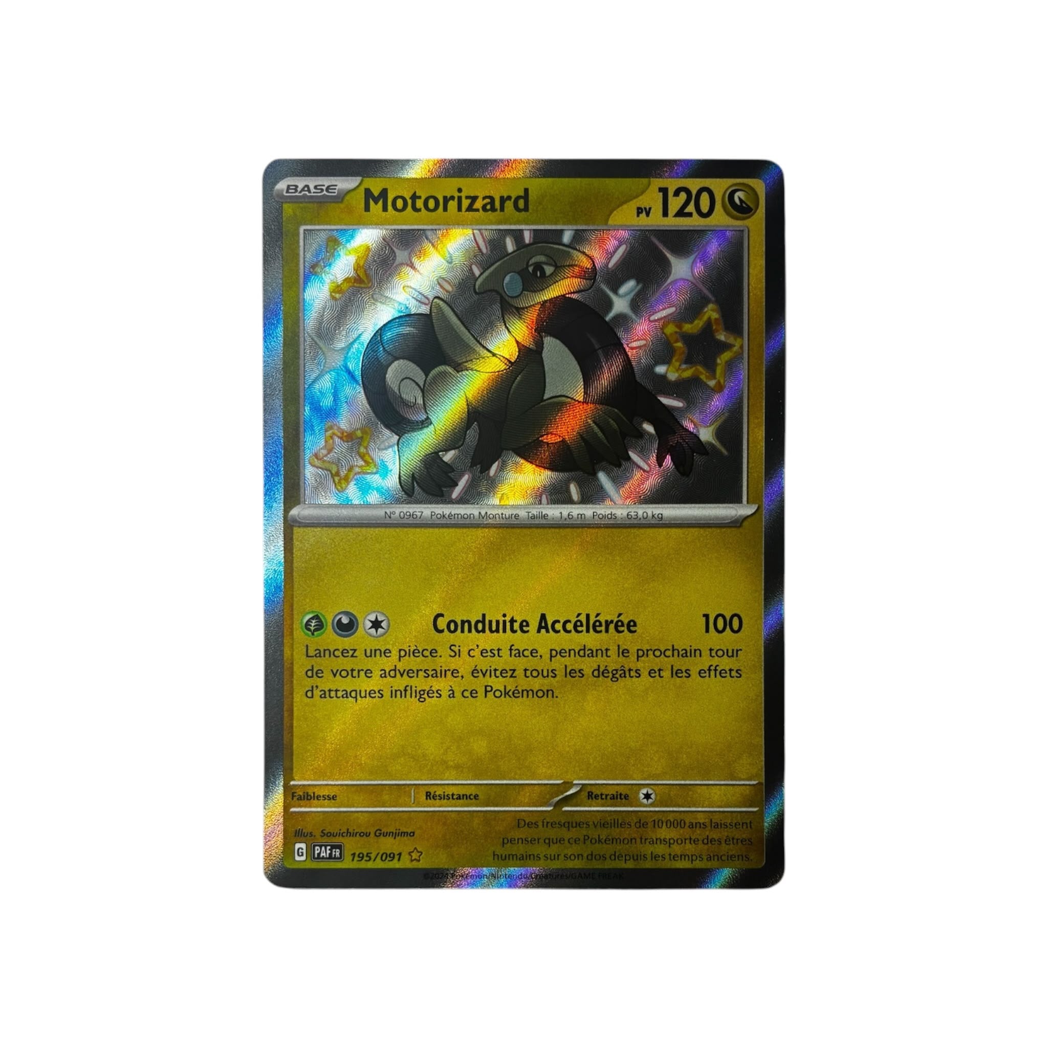 PAF 195 | Motorizard (FR)