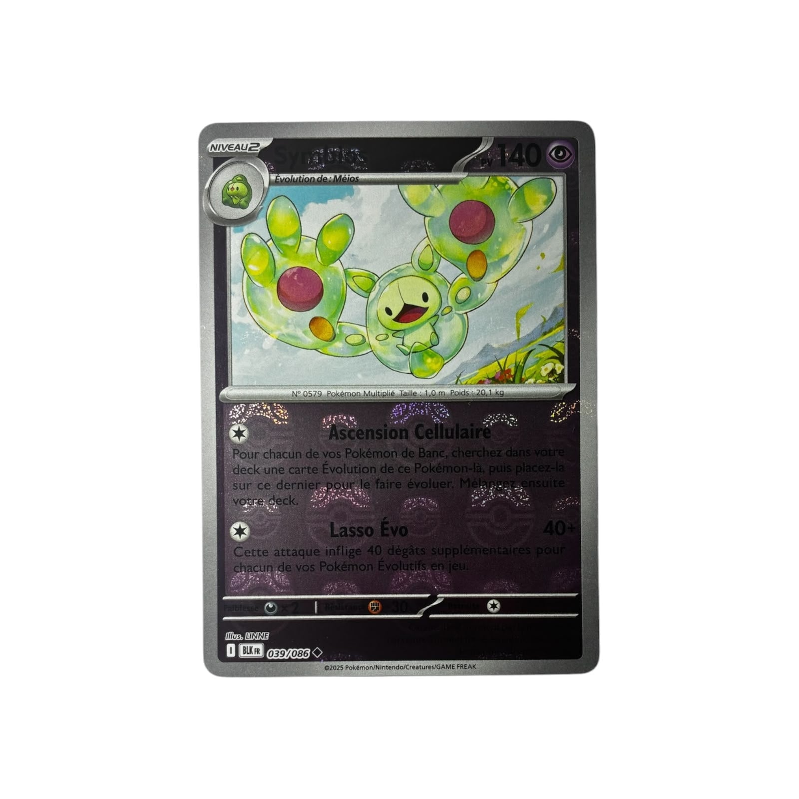 xBLK 039 | Symbios Masterball (FR)