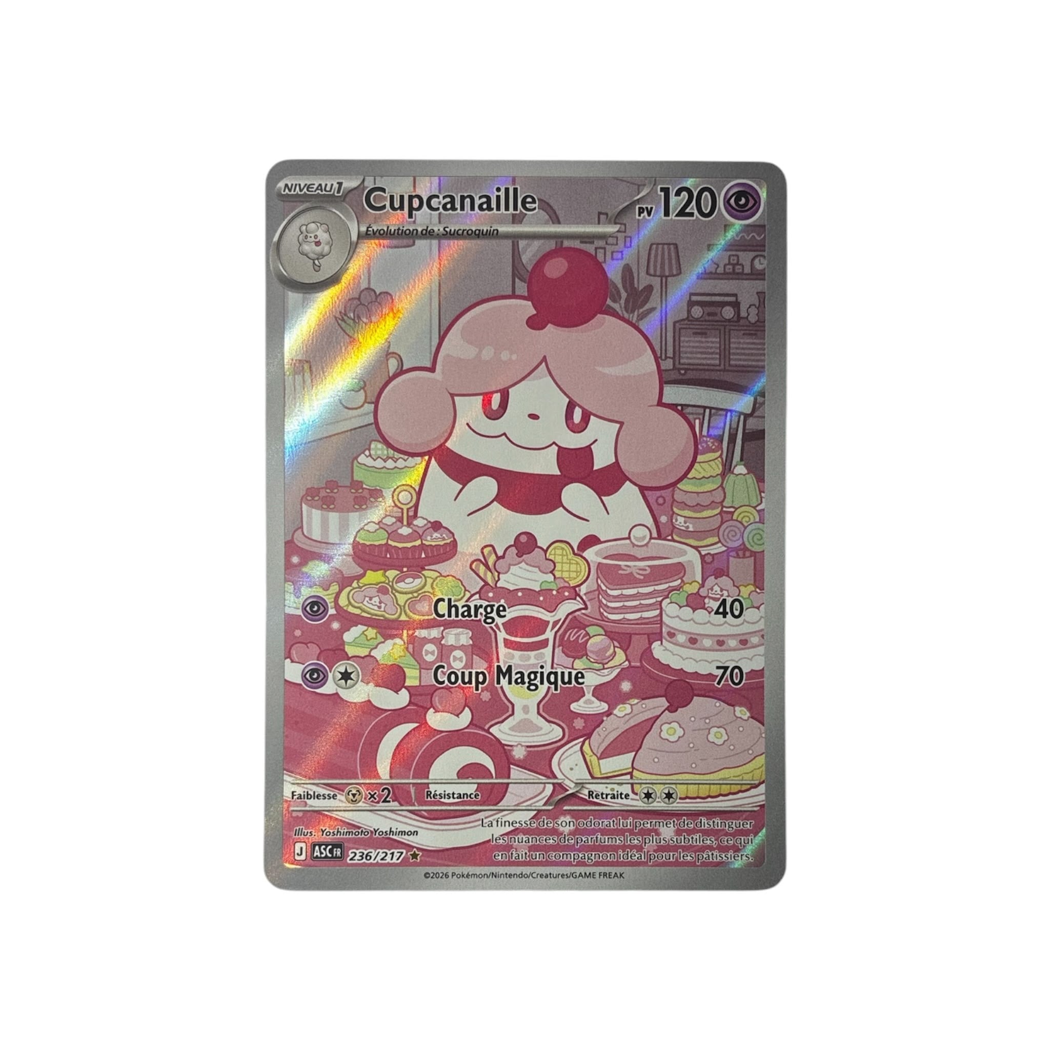 ASC 236 | Cupcanaille (FR)