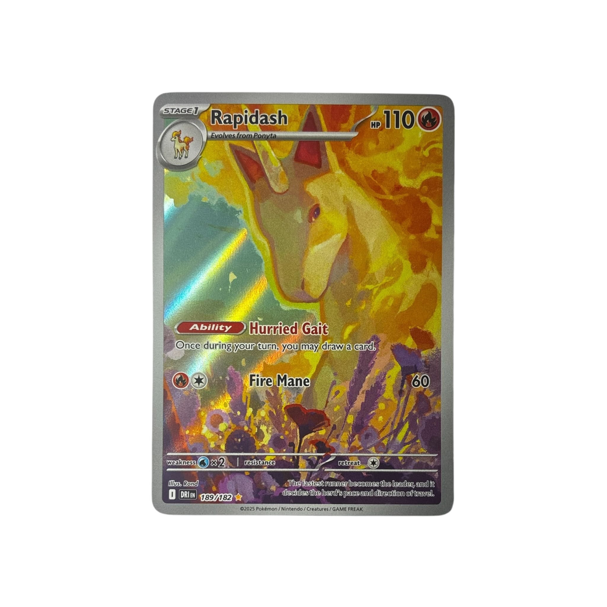 DRI 189 | Rapidash (EN)