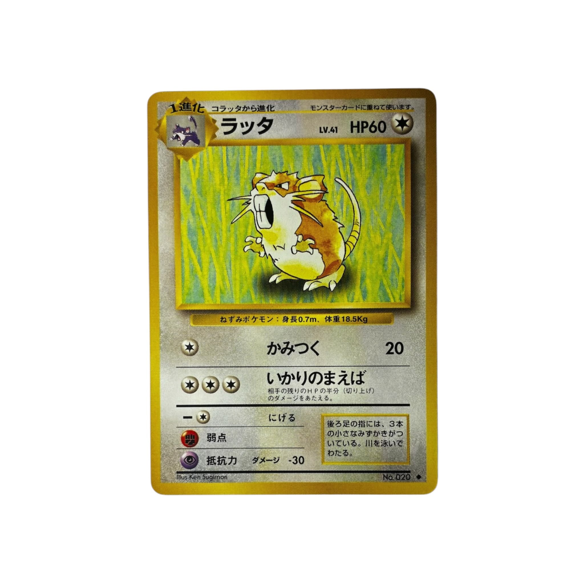 EXP | Raticate (JAP)