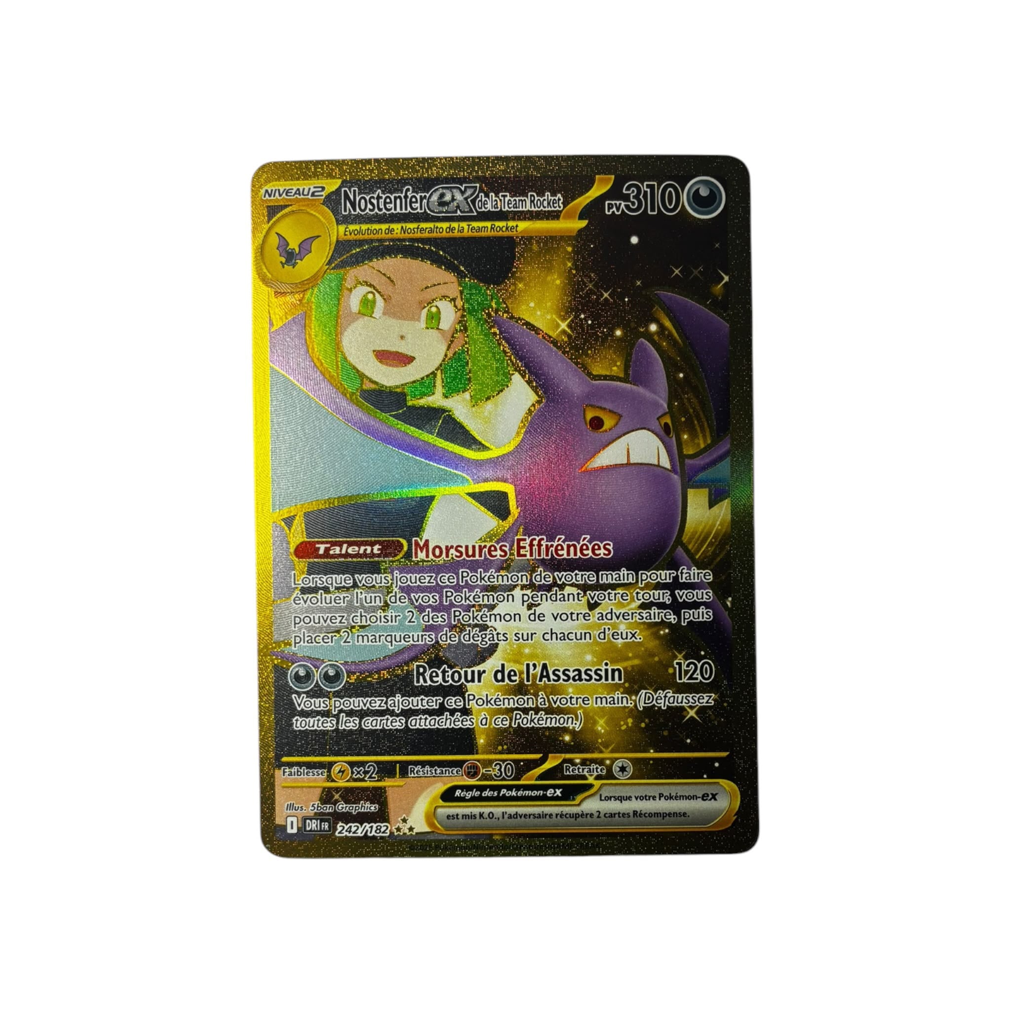 DRI 242 | Nostenfer Gold ex (FR)