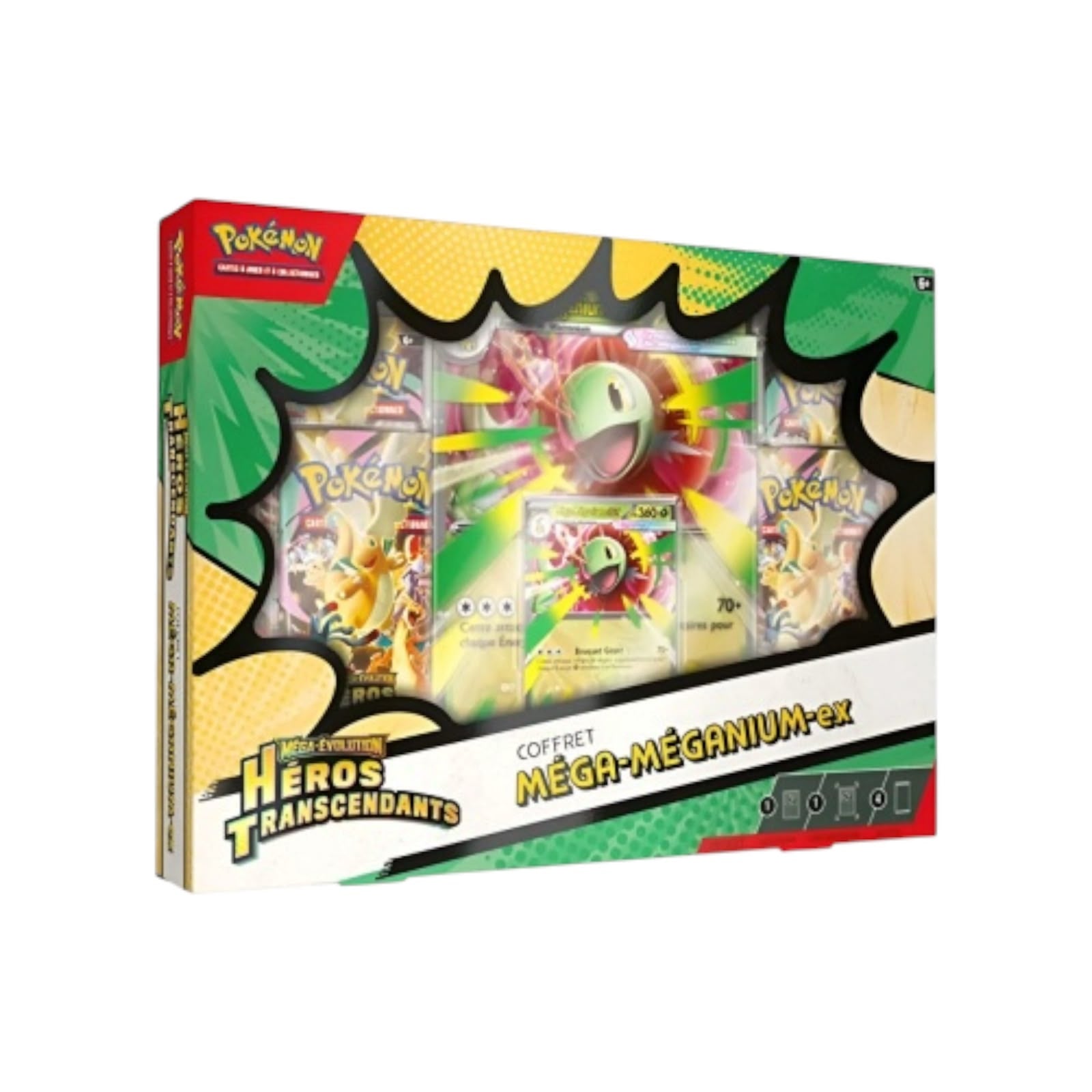 Coffret | Mega-Méganium ex (FR)
