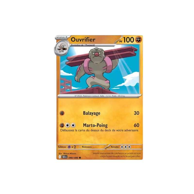 xBLK 048 | Ouvrifier Masterball (FR)