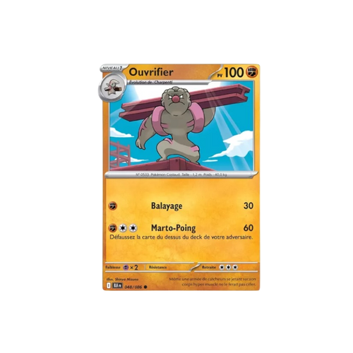 xBLK 048 | Ouvrifier Masterball (FR)